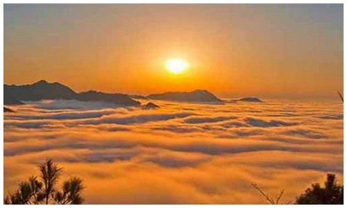 2026最新龙岛异兽龙种介绍官网入口在哪，附官网福利整理