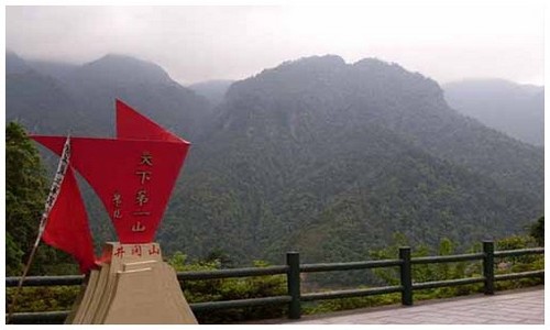 2026最新龙岛异兽龙种介绍官网地址是什么，附最新版本更新内容